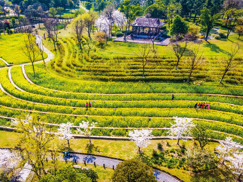 第十屆中國武漢園林博覽會荊山修復